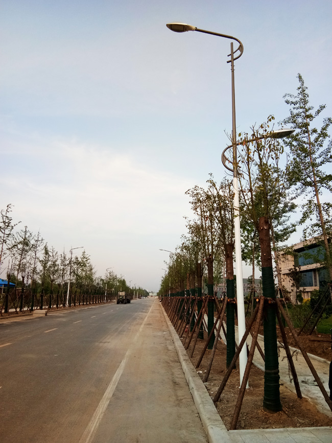 双臂道路灯|道路灯-河南苏亚新能源科技有限公司